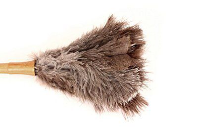 Ostrich feather duster company new arrivals