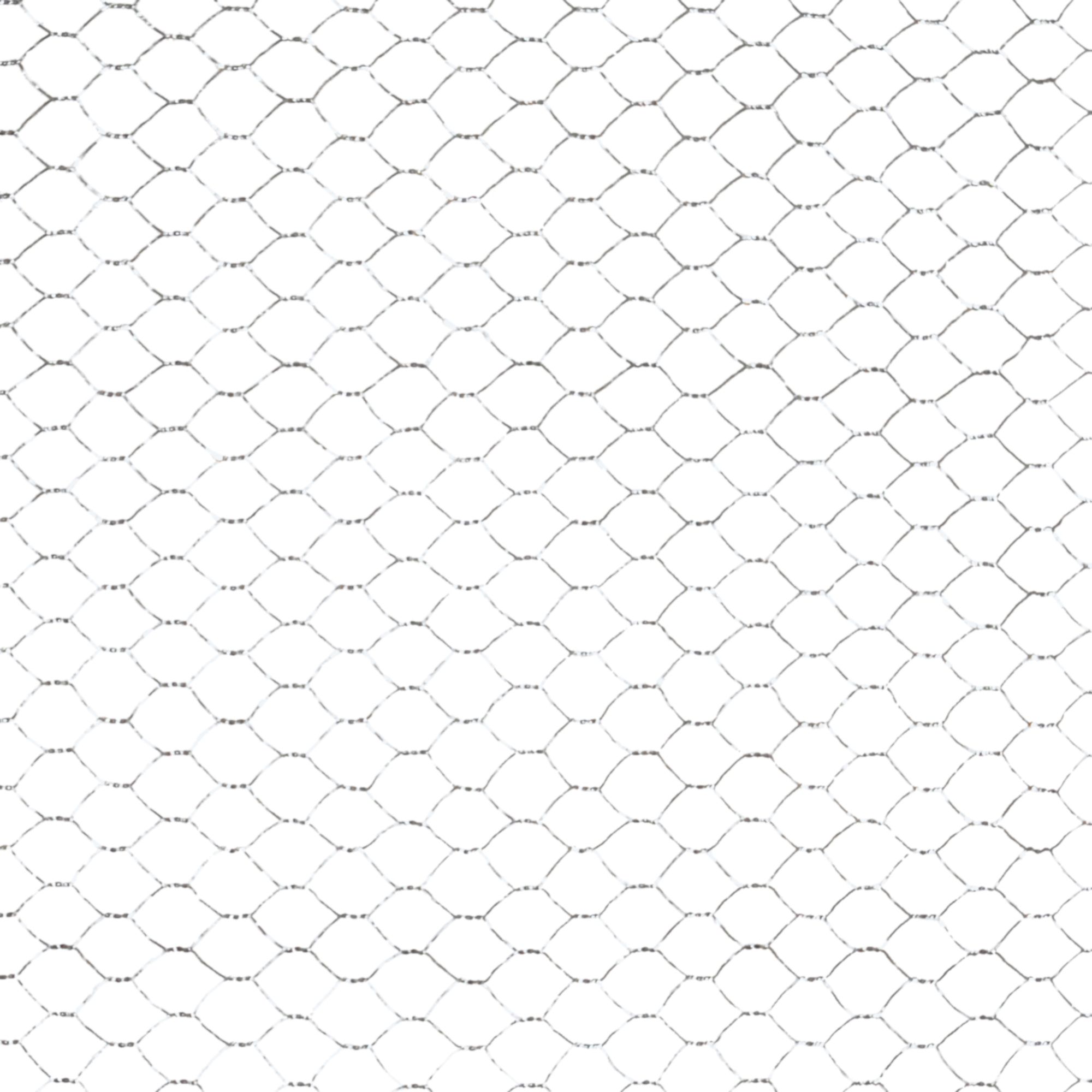 Blooma 13x13mm Galvanised Steel Triple torsion mesh, (L)5m (H)0.5m