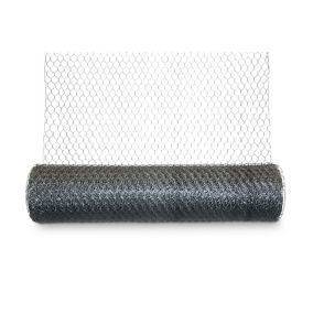 Blooma 25x25mm Galvanised Steel Triple torsion mesh, (L)10m (H)1m