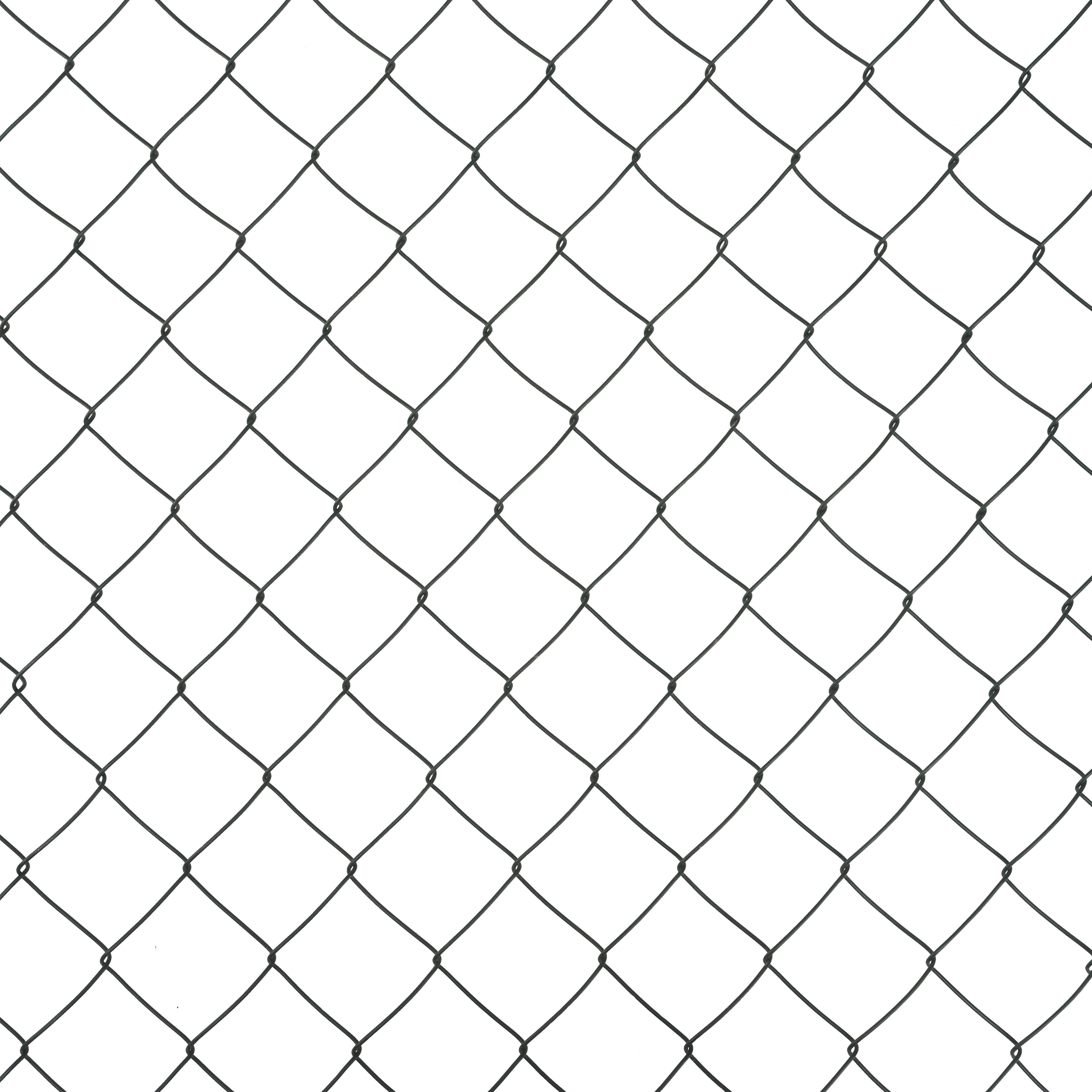 Blooma 60x60mm PVC-coated Steel Wire mesh roll, (L)10m (H)1.2m