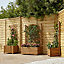 Blooma Bopha Pressure treated wood brown Wooden Square Planter