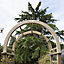 Blooma Chiltern Round top Softwood Arch - Assembly service included