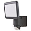 Blooma Delson Matt Charcoal grey LED PIR Motion sensor Outdoor Wall light