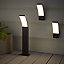 Blooma Gambell Matt Charcoal grey Mains-powered LED Outdoor Wall light 800lm