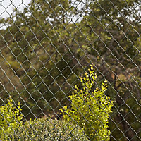 Blooma Green PVC-coated Steel Wire mesh fencing, (L)25m (W)1m (11000g)