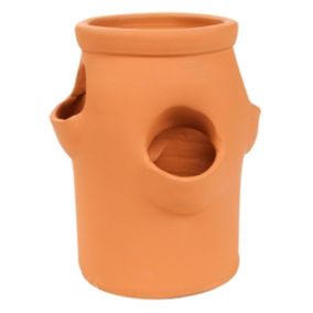 Blooma Laleh Terracotta Round Plant pot (Dia) 16.5cm, (H)28cm, 8ml