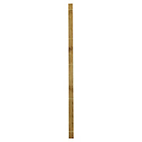 Blooma Lemhi Pine Rectangular Fence post (H)2.4m (W)90mm, Pack of 2