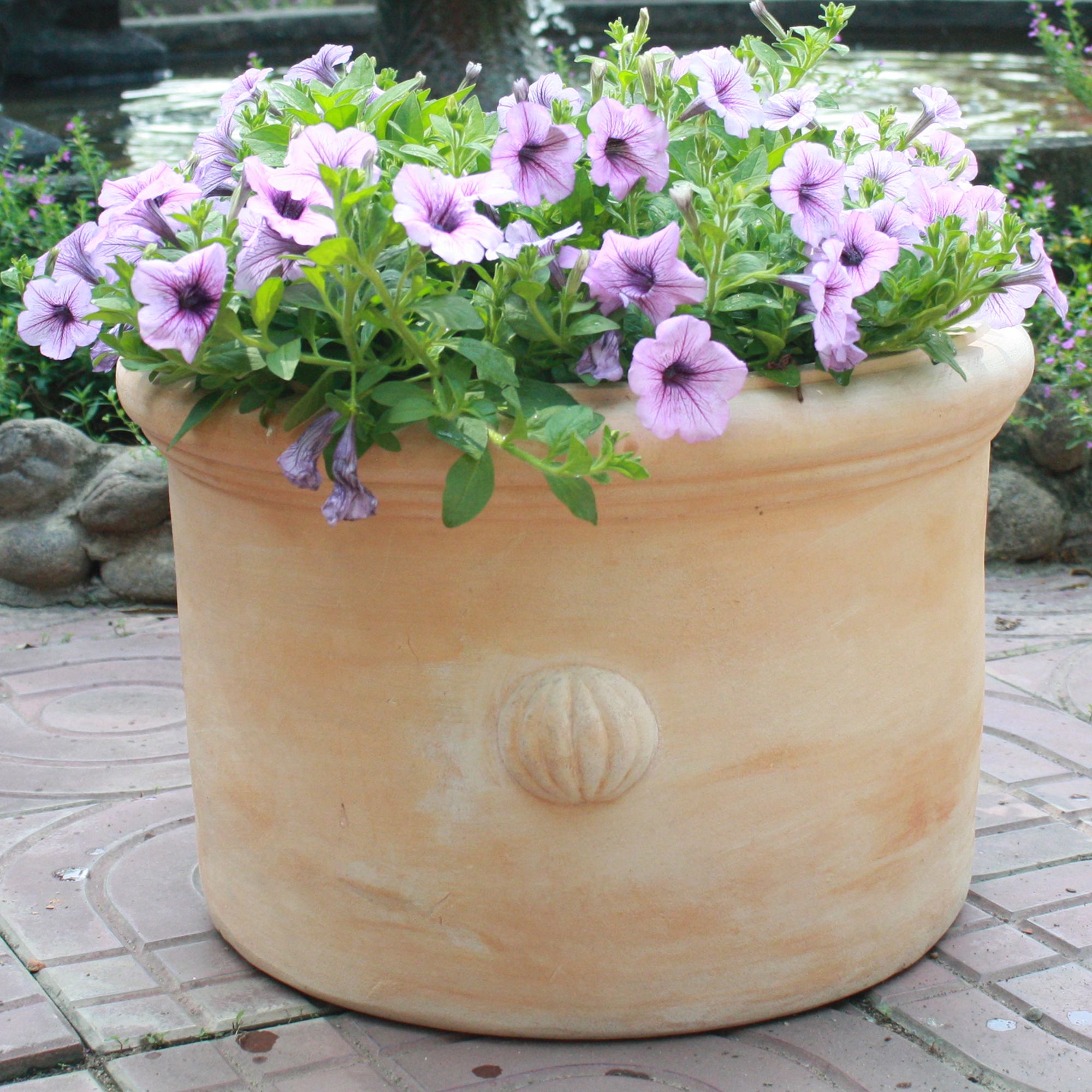 Blooma Mali White washed Terracotta Circular Plant pot (Dia) 40cm, (H)27cm, 28L