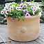 Blooma Mali White washed Terracotta Circular Plant pot (Dia)40cm