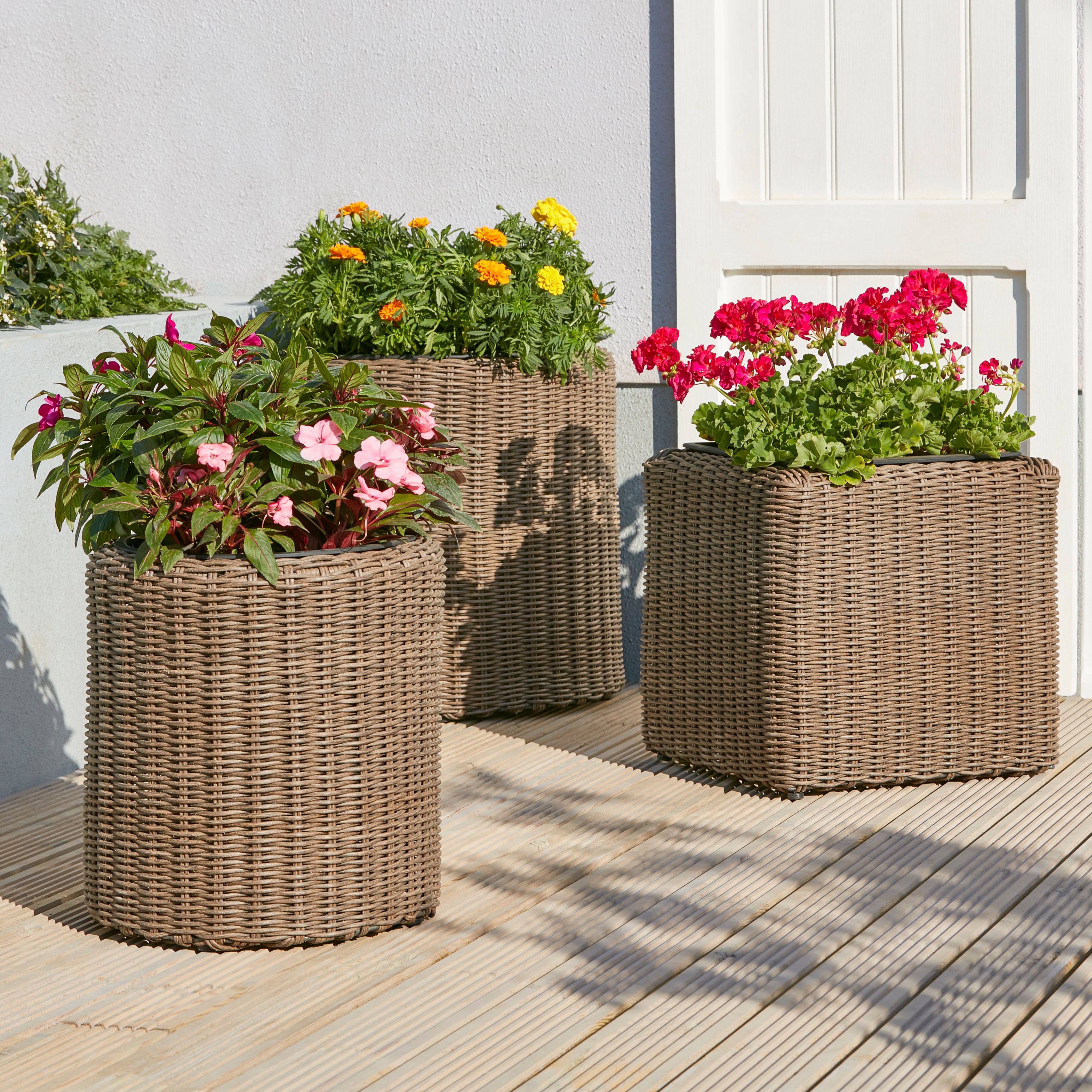 Rattan deals plant pot