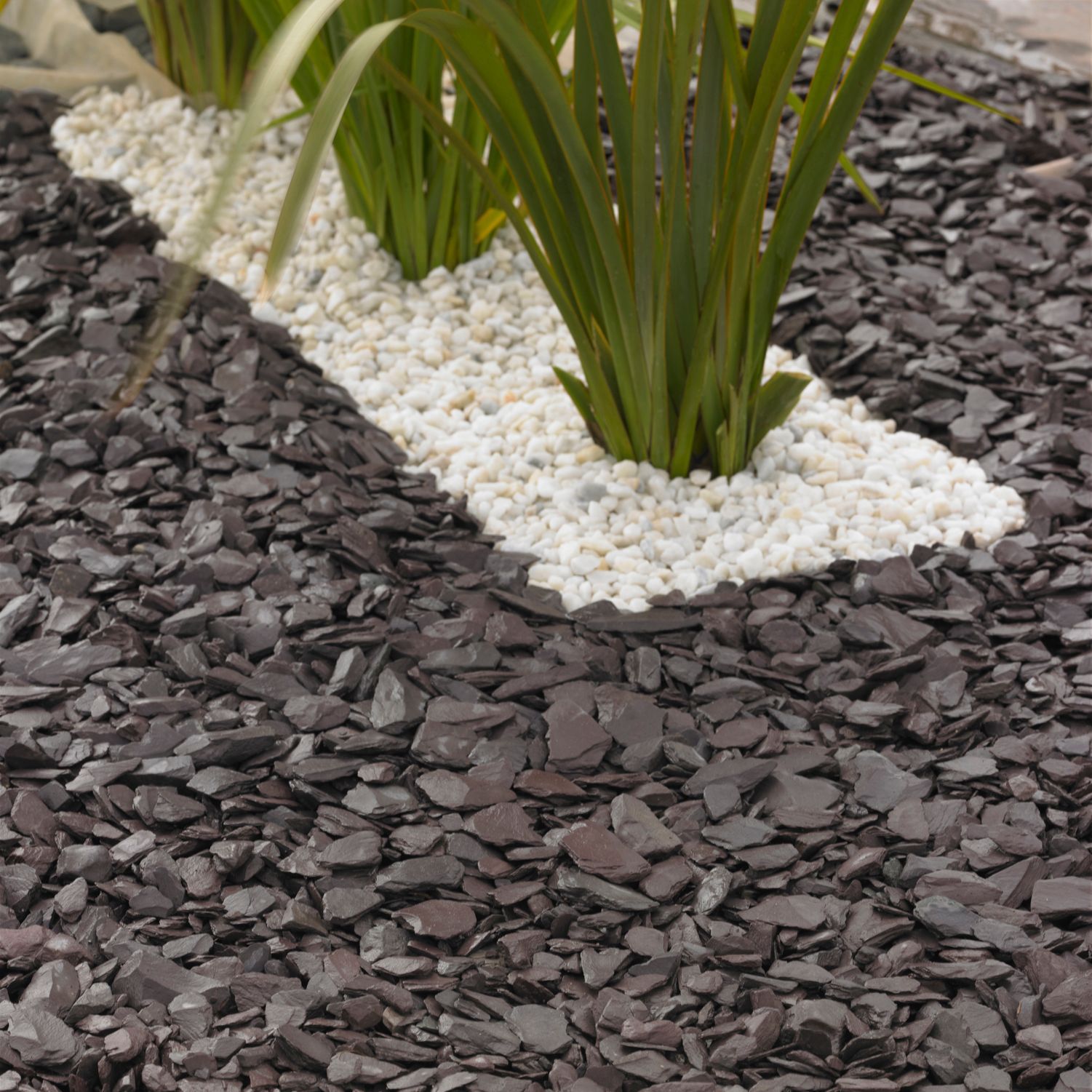 Blooma Plum 40mm Slate Decorative Chippings, Large 22.5kg Bag | DIY At B&Q