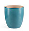 Blue Terracotta Plant pot