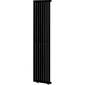 Blyss Wickham Anthracite Vertical Designer Radiator, (W)480mm x (H)1800mm