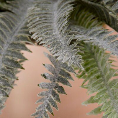 Bohemian Pot with artificial fern in