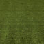 Boronia Artificial grass 20m² (T)8mm