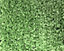 Boronia Artificial grass 4m² (T)7mm