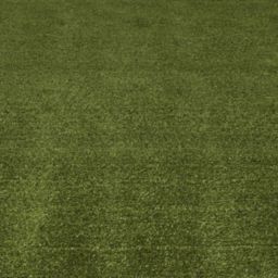 Boronia Artificial grass Sample 0.04m² (T)7mm