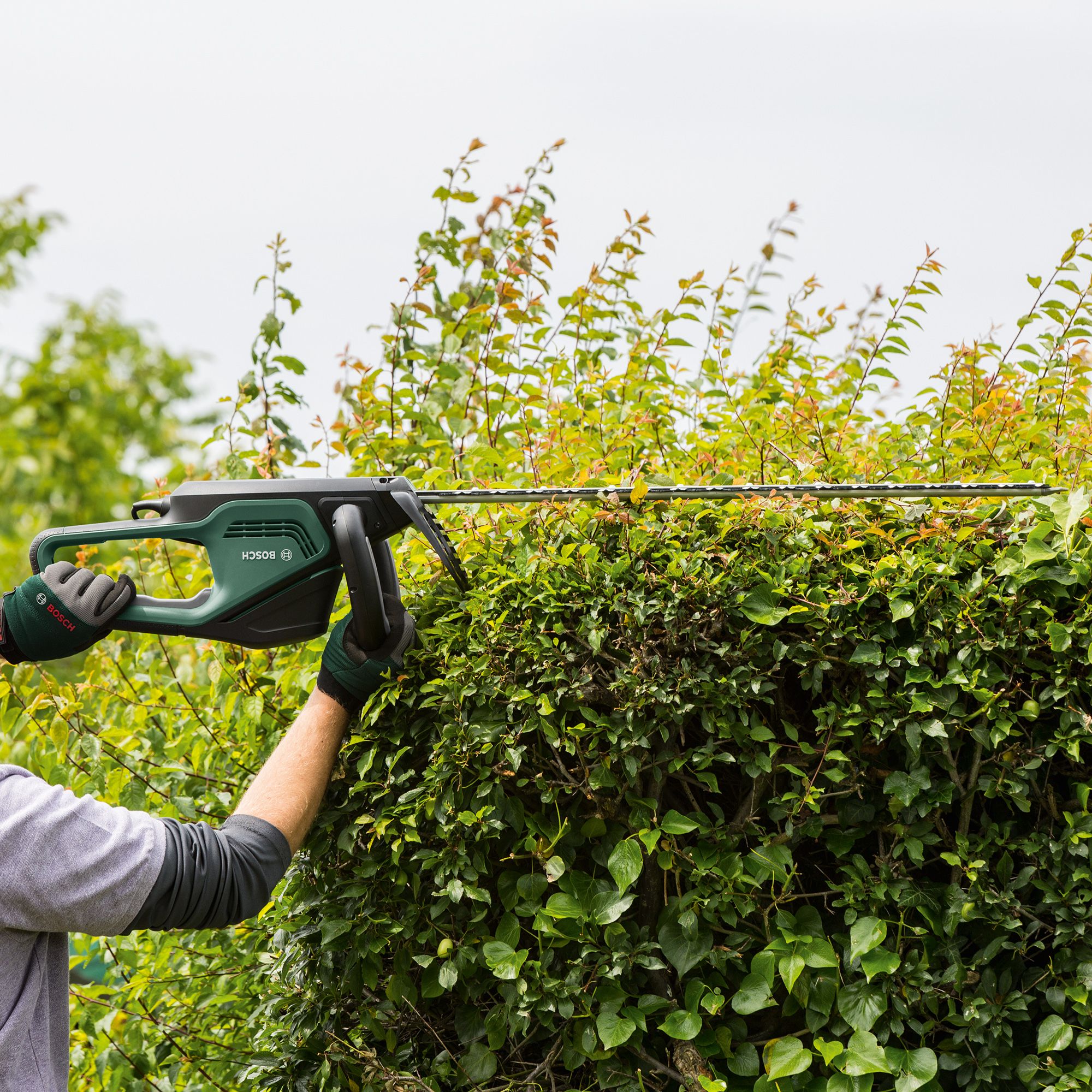 bosch 70cm hedge trimmer