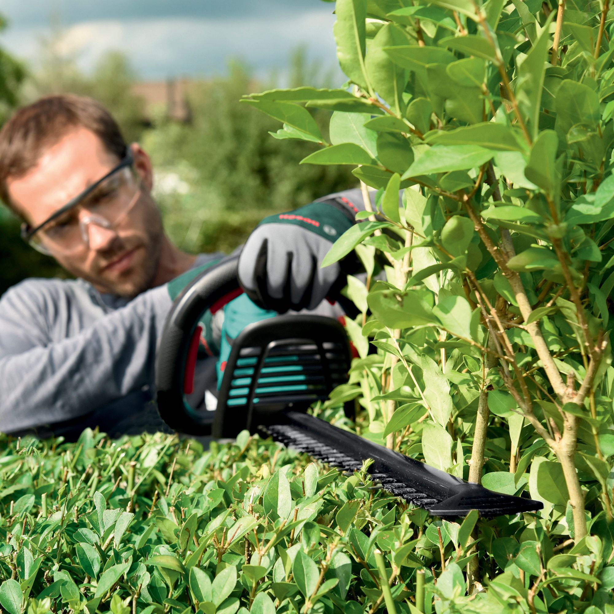 bosch ahs 18v 55cm cordless hedge trimmer