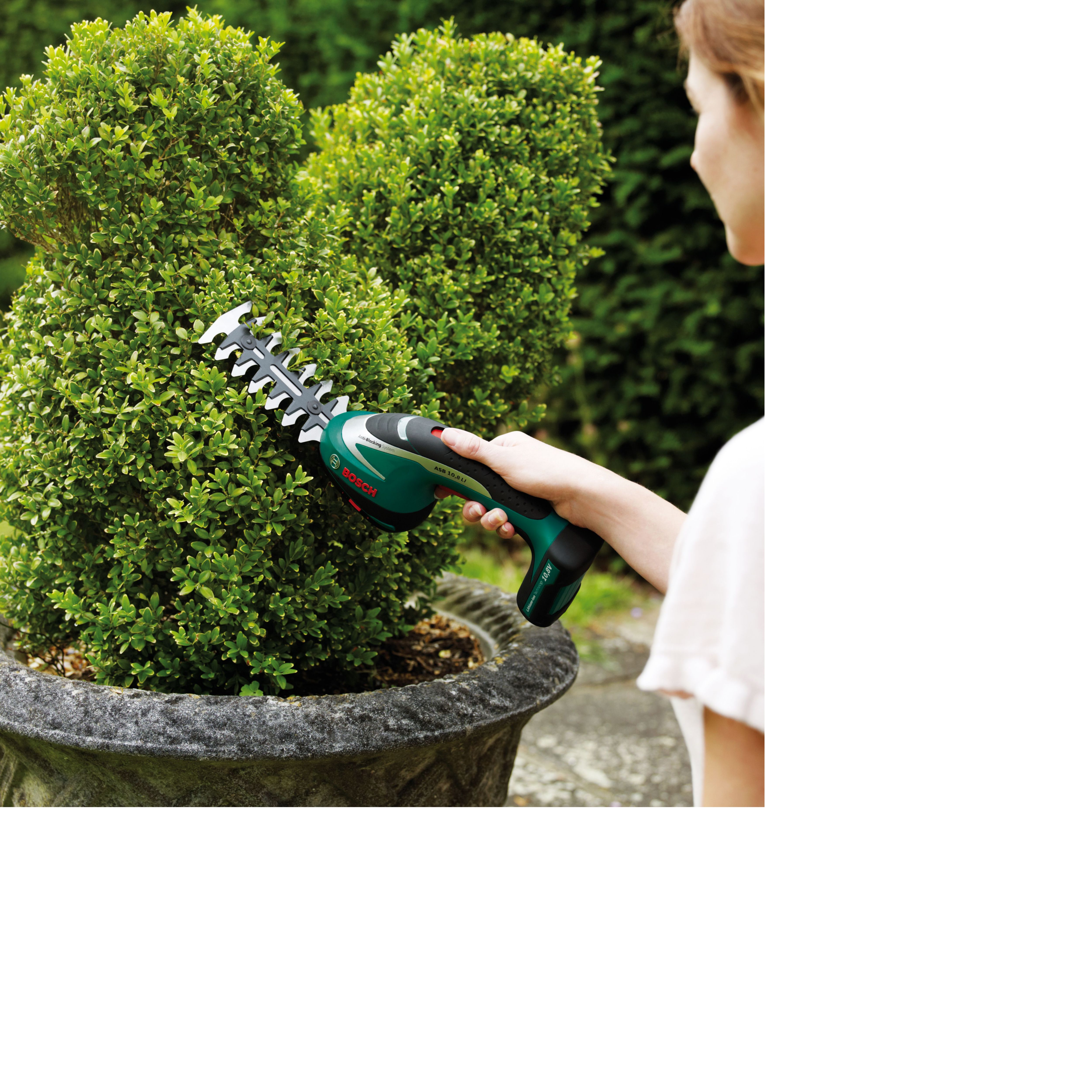 Bosch ASB 10.8 LI Set Electric Cordless Lithium-ion Shrub & Grass Shear ...