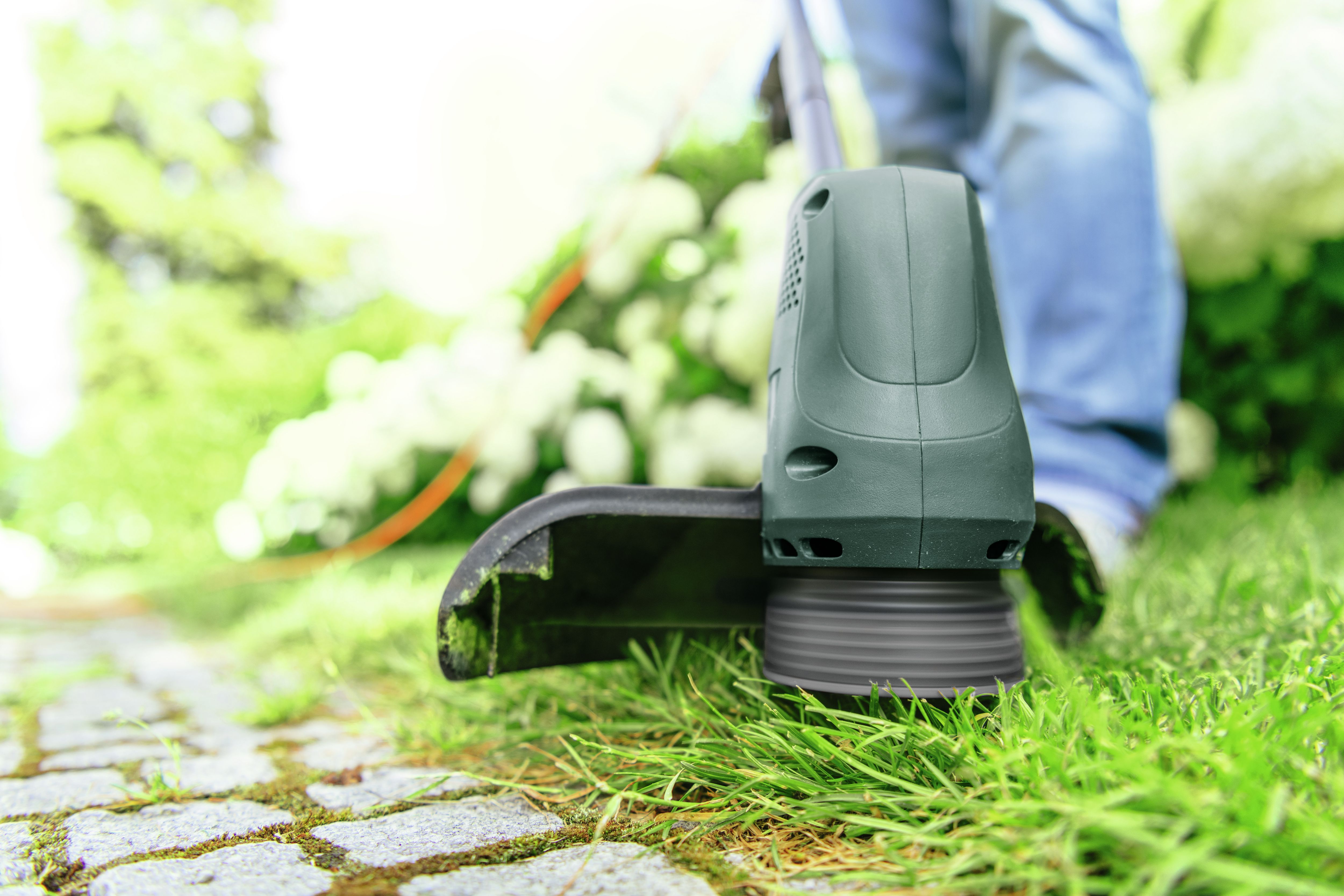 BOSCH EasyGrassCut 26 280W 芝刈り機 Bosch EasyGrassCut 26 280W Corded Grass trimmer