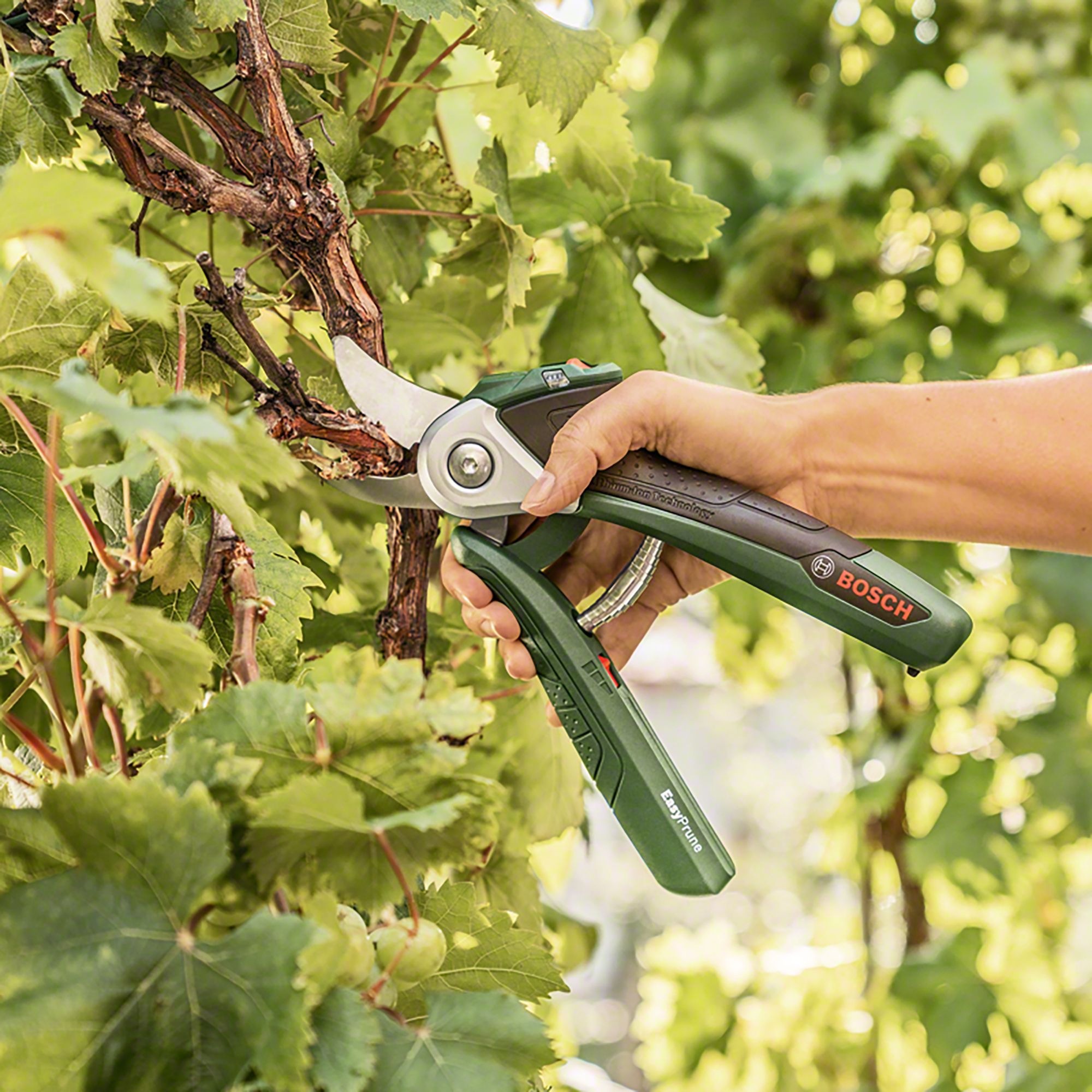 Bosch EasyPrune Battery powered Secateur DIY at B Q