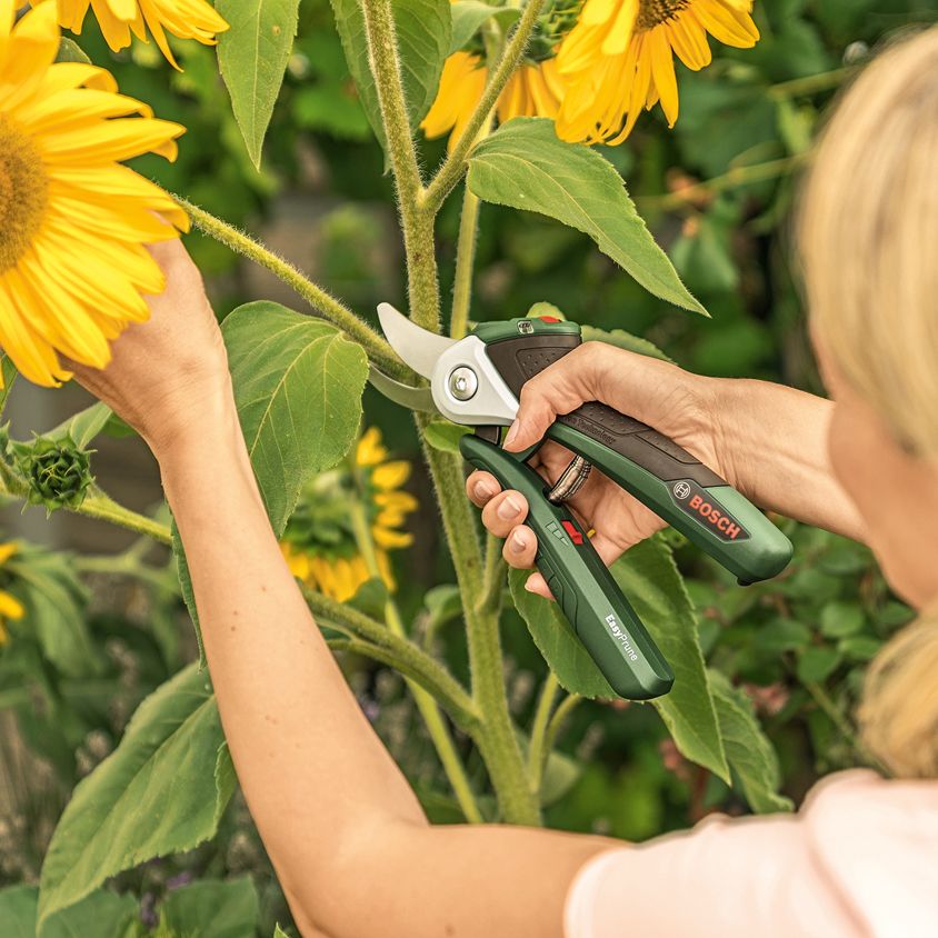 Bosch EasyPrune Battery powered Secateur DIY at B Q