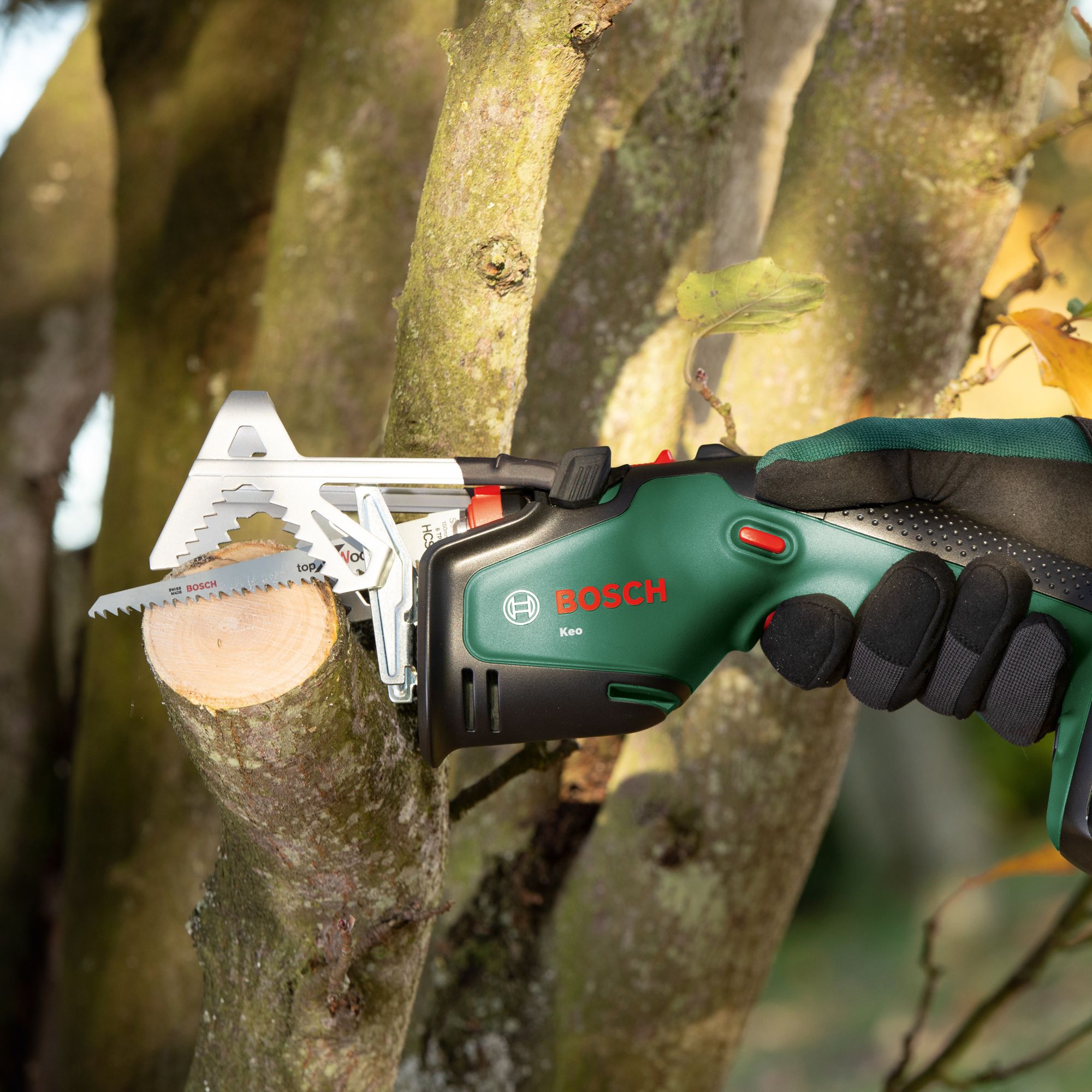 Bosch pruning outlet saw