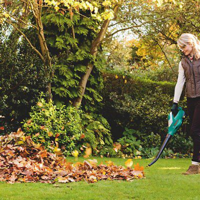 Bosch Power for all 18V Cordless Garden blower x 2.5Ah) - ALB 18 LI
