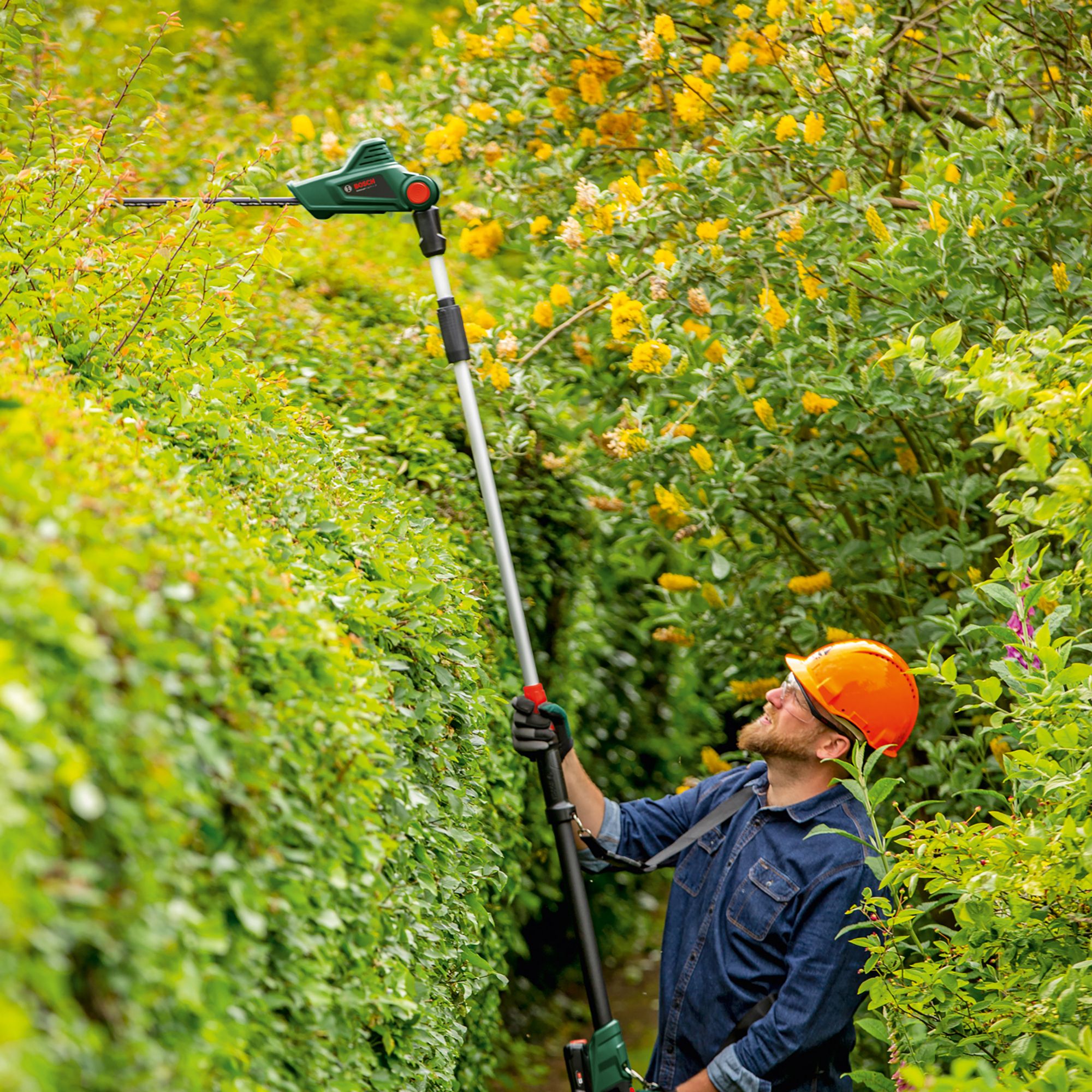 Bosch Power for all 18V Cordless Hedge trimmer (1 x 2.5Ah) - UniversalHedgePole 18