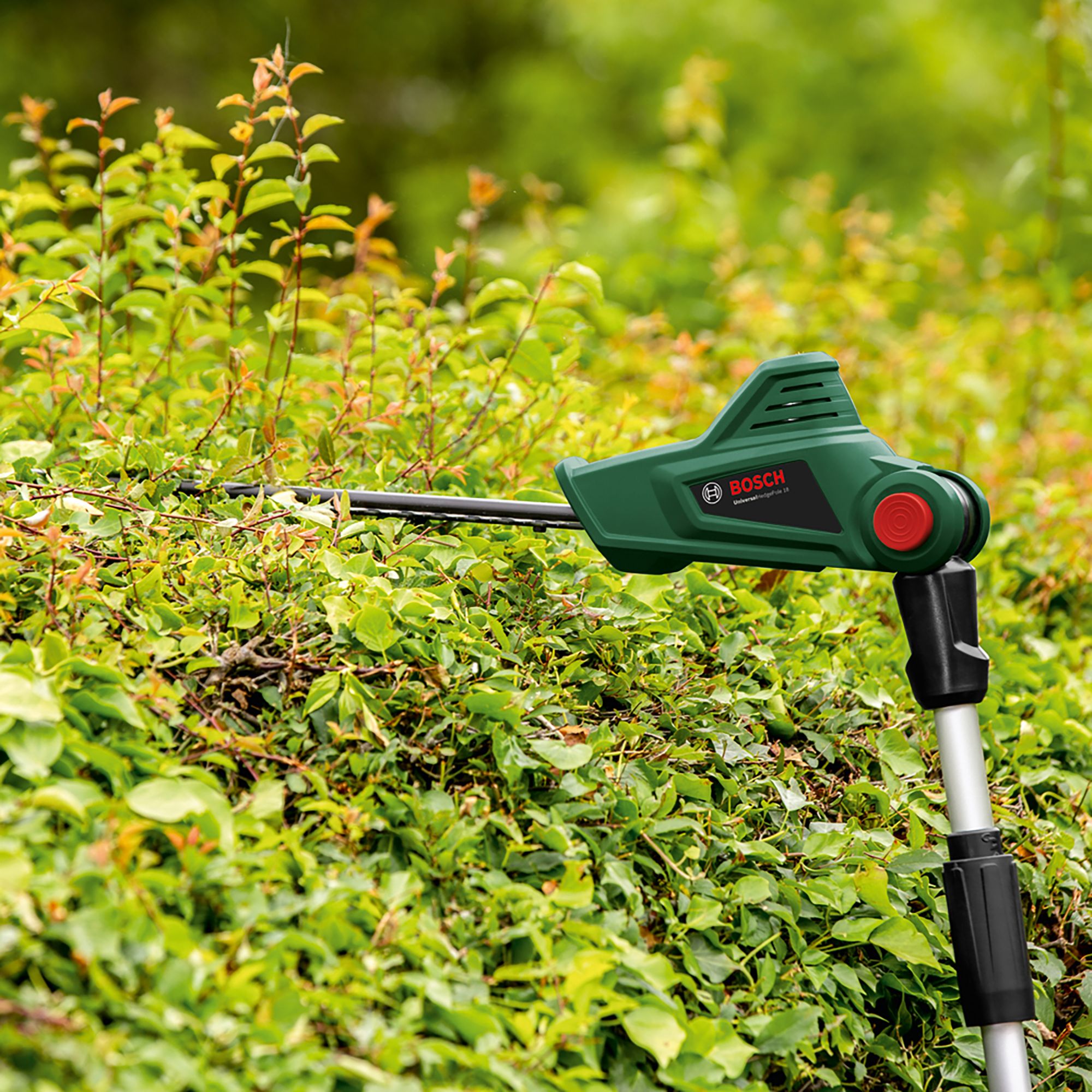 Bosch Power for all 18V Cordless Hedge trimmer (1 x 2.5Ah) - UniversalHedgePole 18
