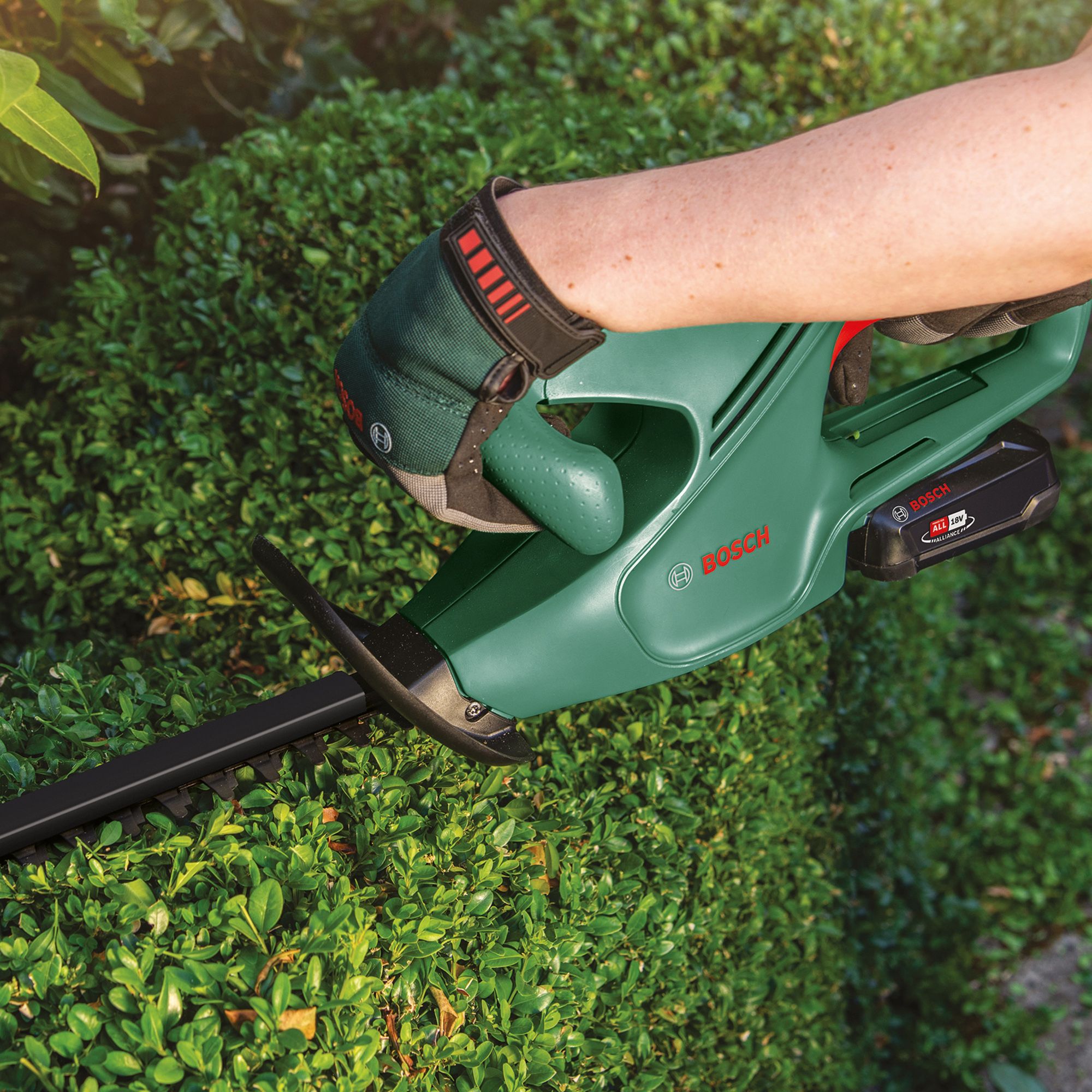 Bosch Power for all 18V Cordless Hedge trimmer (1 x 2Ah) - EasyHedgeCut 18-45