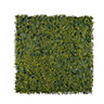 Boxwood Square Artificial plant wall, (H)1m (W)1m