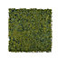 Boxwood Square Artificial plant wall, (H)1m (W)1m