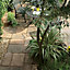 Bradstone Bamburgh mill Olde blend Reconstituted stone Paving set, 10.9m² (L)3180mm (W)2850mm