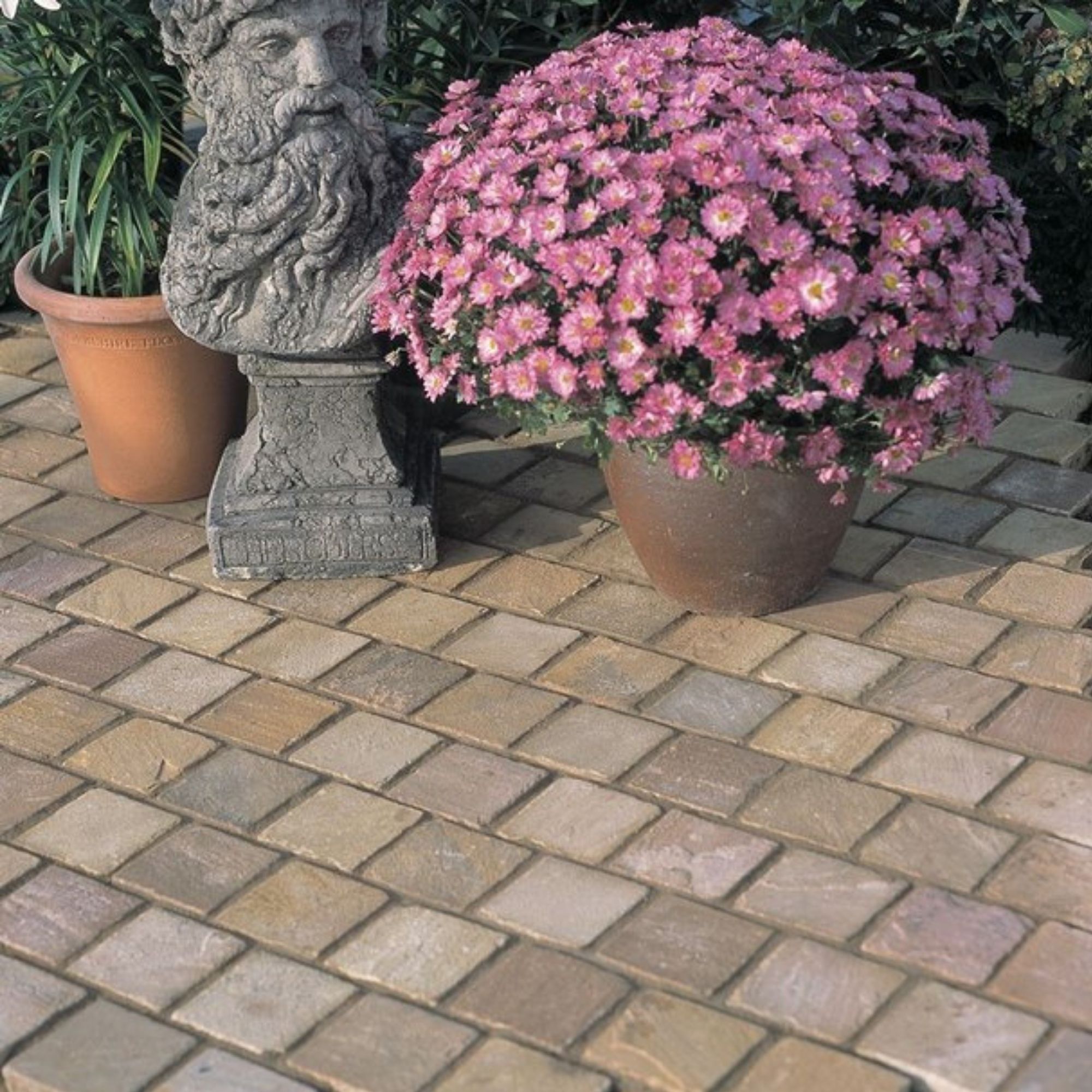 Bradstone Fossil buff Sandstone Sett (L)100mm (W)100mm