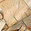 Bradstone Natural Sandstone Fossil buff Natural sandstone Paving slab (L)600mm (W)600mm
