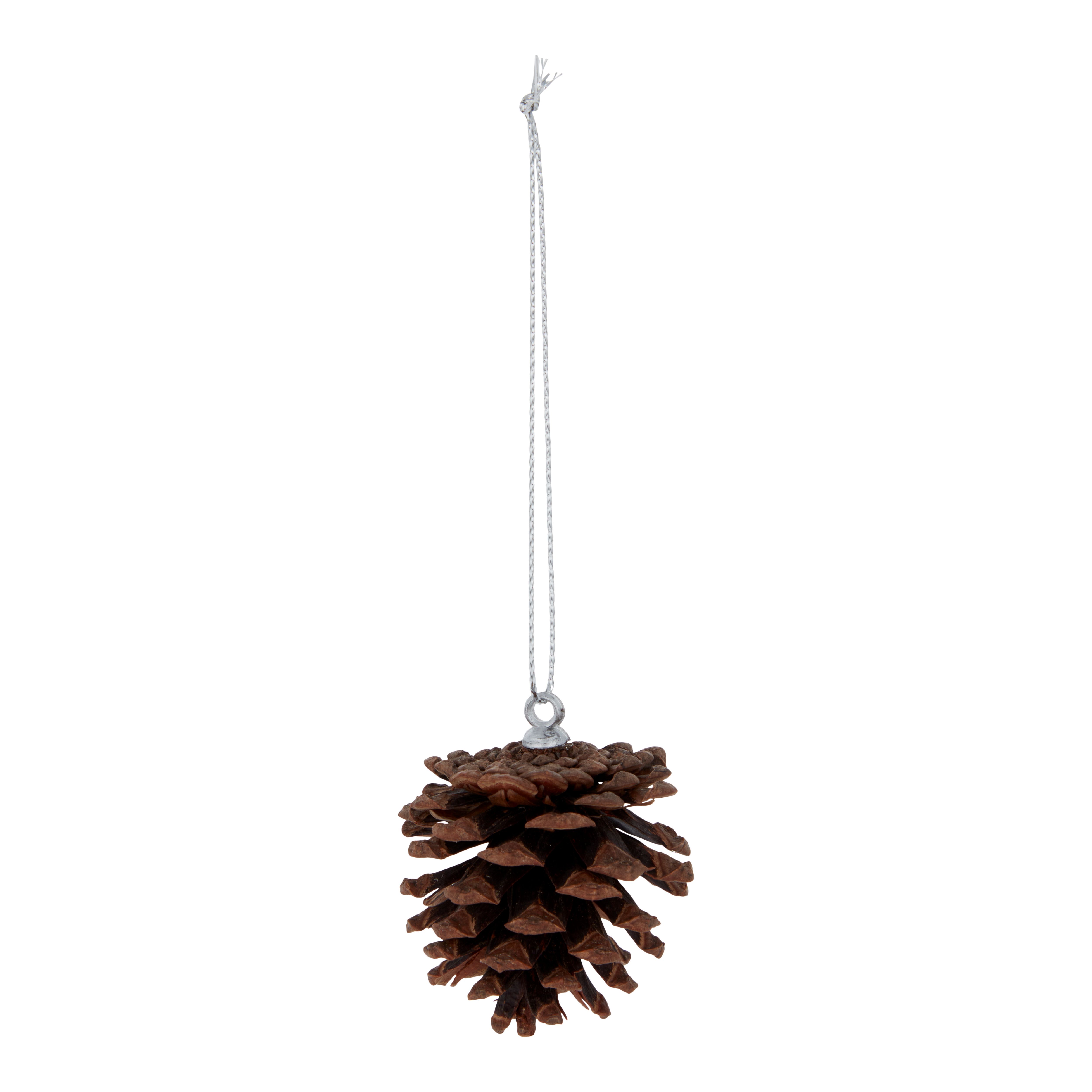 Brown Pine cone Hanging decoration set, Pack of 12 (D) 50mm