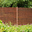 Brown Willow Garden screen (H)1.8m (W)1.8m , Pack of 5
