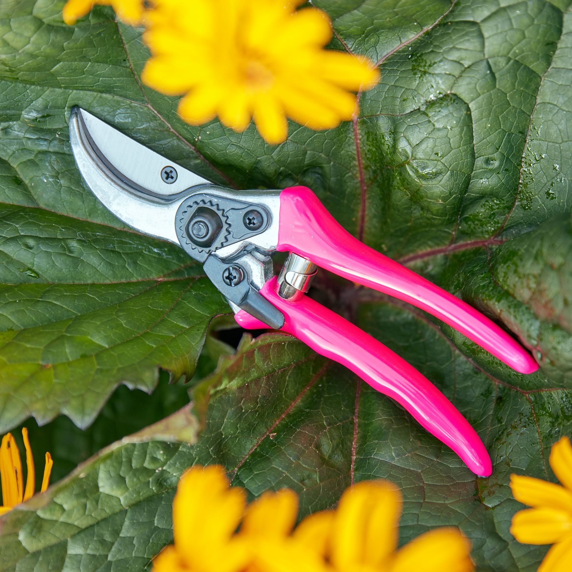 Burgon and deals ball secateurs