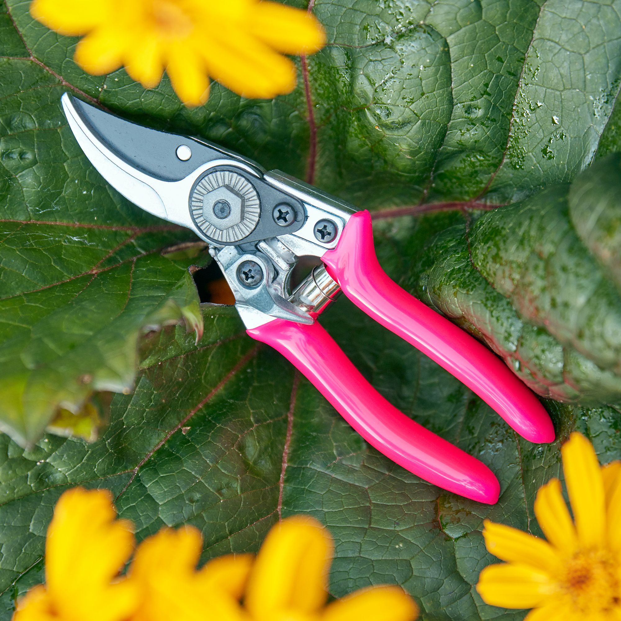 Burgon & Ball Florabrite Neon pink Bypass Pruner