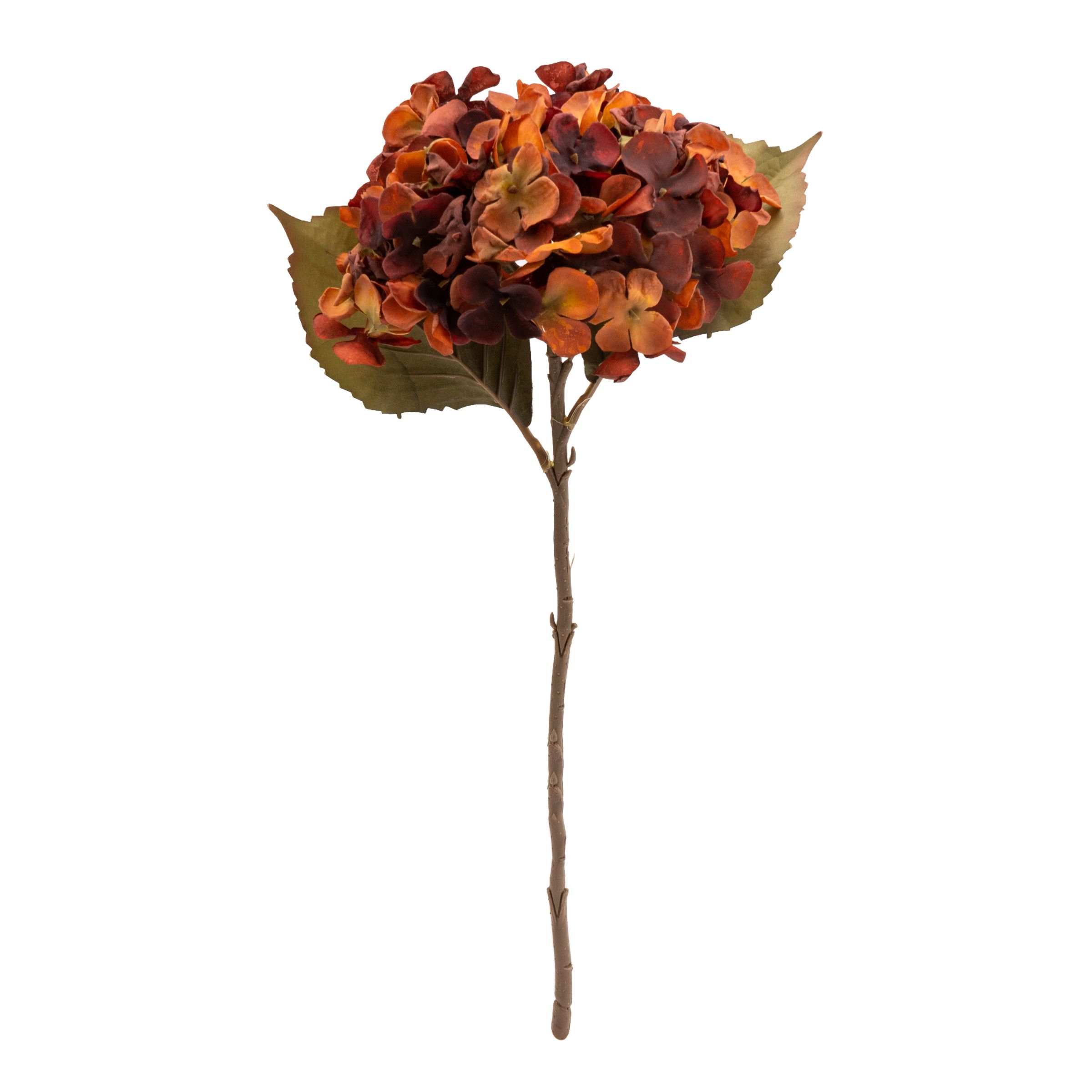 Burnt Orange Hydrangea Single stem Artificial flower DIY at B&Q