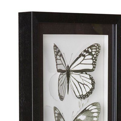 Butterflies Black & white Framed print (H)60cm x (W)30cm