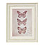 Butterflies Lilac Framed print (H)500mm (W)400mm