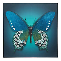 Butterfly Blue Canvas art (H)750mm (W)750mm