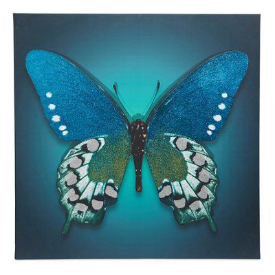Butterfly Blue Canvas art (H)75cm x (W)75cm