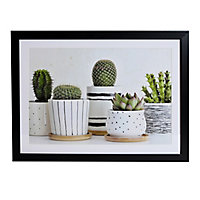 Cactus Green Framed print (H)300mm (W)400mm