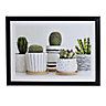 Cactus Green Framed print (H)300mm (W)400mm
