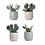 Cactus in 24cm Terracotta Ceramic Decorative pot