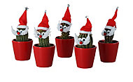 Cactus Red Ceramic Decorative pot
